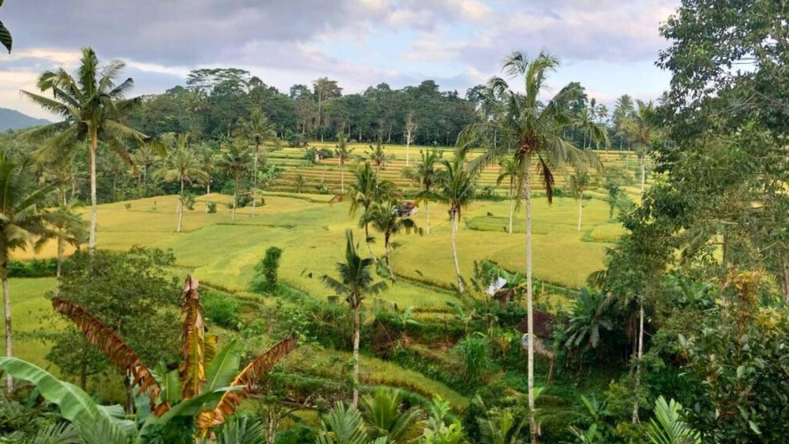 Selat Pondok Sapta Sallaca מראה חיצוני תמונה